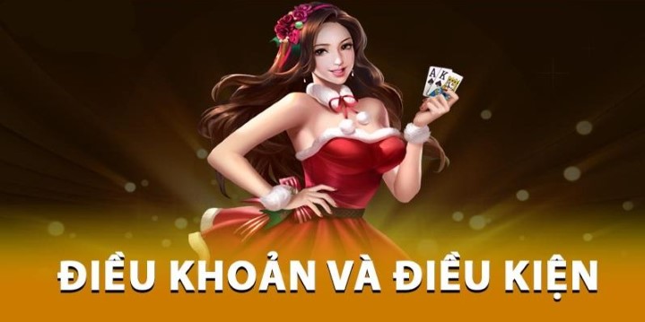 Những quy định quan trọng trong Điều khoản điều kiện DA88 