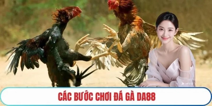 Các loại hình đá gà DA88 dễ chơi dễ thắng lớn