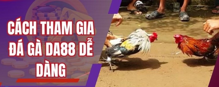 Đôi nét cơ bản về đá gà DA88 đầy kịch tính và thú vị